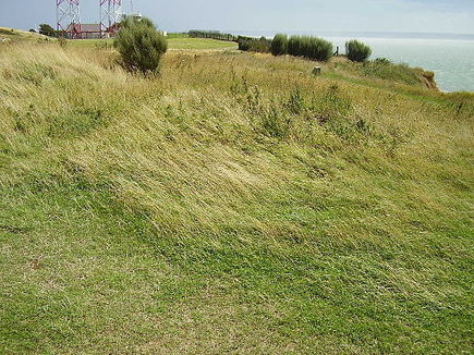 Clarifier les enjeux autour de la libert&eacute; de panorama | Autour de Wikip&eacute;dia et des projets Wikimedia | Architecture - Construction | Scoop.it