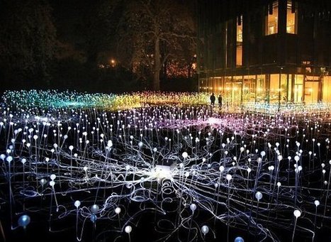 Bruce Munro: Field of Light | Art Installations, Sculpture, Contemporary Art | Scoop.it