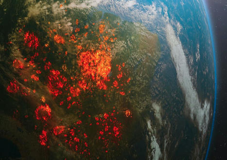 La Terre n’a plus son « Poumon vert », la forêt brésilienne expire du carbone désormais – Kiwi Niort • Météo et refuge LPO | Histoires Naturelles | Scoop.it