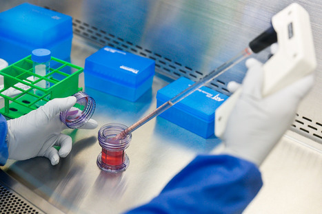 Performance optimization of continuous countercurrent tangential chromatography for antibody capture - Dutta - 2016 - Biotechnology Progress - Wiley Online Library | Daily Newspaper | Scoop.it