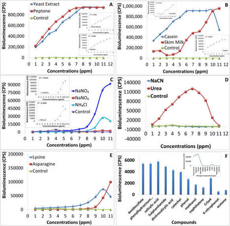 NasR2 promoter-driven bioluminescent detection of bioavailable nitrogen  | Plant-Microbe Symbiosis | Scoop.it