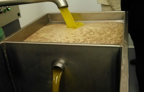 Se acerca mayo y los precios del aceite no solo no se recuperan sino que siguen a la baja | OLIVE NEWS | Scoop.it