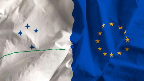 Impact de l'accord UE-Mercosur sur le marché européen de la viande bovine | Actualité Bétail | Scoop.it