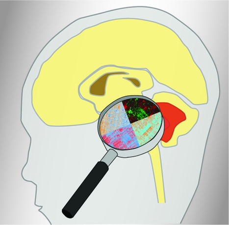 Une approche multi-omiques pour d&eacute;crypter un cancer du cerveau chez l&rsquo;enfant | Life Sciences Universit&eacute; Paris-Saclay | Scoop.it