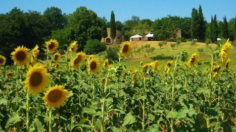 Agriturismo Natura e Salute - Vakantie in Italië | Ciao tutti | Vacanza In Italia - Vakantie In Italie - Holiday In Italy | Scoop.it
