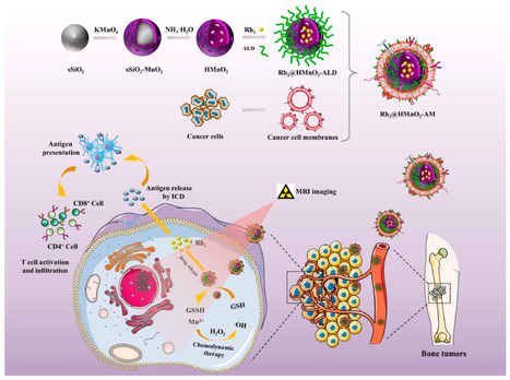 Novel tumor targeting nanoparticles for targeted cancer therapy | Local delivery for Gene Directed Enzyme Prodrug Therapy | Scoop.it