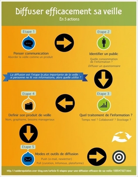 Infographie : comment diffuser les r&eacute;sultats de sa veille ? | R&eacute;seaux et m&eacute;dias sociaux, veille, technique et outils | Scoop.it
