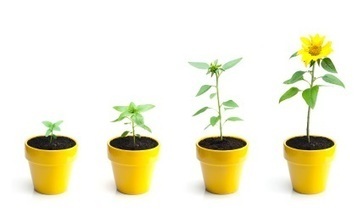 A Look Back at 20+ Years of Website Design | Digital Marketing & Communications | Scoop.it