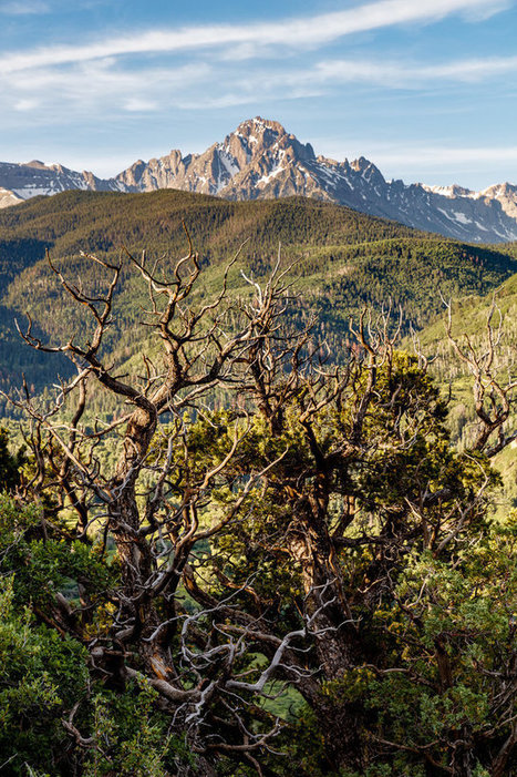Canon 5DS Initial Impressions | Photography Gear News | Scoop.it