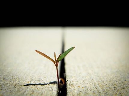 Dans un monde VICA, êtes-vous fragile, robuste, résilient ou antifragile ? | Devops for Growth | Scoop.it