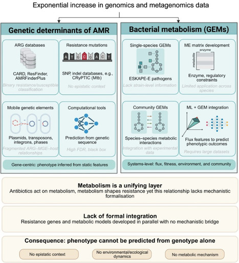 Microbial resistance from genotype to metabolic phenotype | tin | RMH | Scoop.it