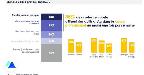 Les cadres et l’IA en 2025 : taux d’utilisation, transparence, impact sur leur métier… | Digital Marketing | Scoop.it