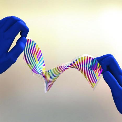 Engineers create chameleon-like artificial 'skin' that shifts color on demand | Design, Science and Technology | Scoop.it