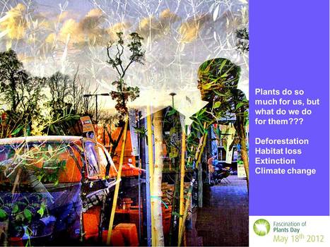 What do we do for plants? | Plant Biology Teaching Resources (Higher Education) | Scoop.it