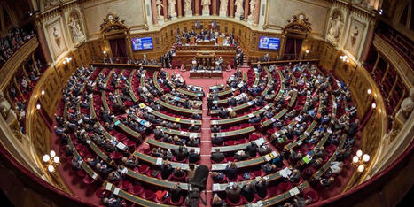 Fin de vie : le Sénat examinera la loi sur l’aide à mourir à partir du 7 octobre | Fin de vie et Soins palliatifs | Scoop.it