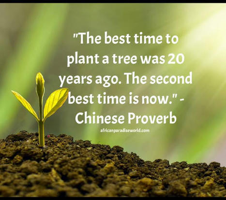 Finding Inspiration From The Best Time To Plant A Tree Quote | Christian Inspirational Blog | Scoop.it