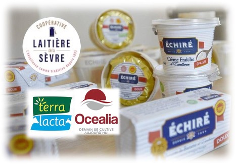 Beurre d’échiré : La Coopérative laitière de la Sèvre s’allie à Terra Lacta et Océalia | Lait de Normandie... et d'ailleurs | Scoop.it