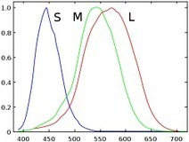 Color blindness | Science News | Scoop.it