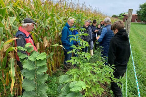En plantant des haies et des arbres, ces agriculteurs luttent contre le changement climatique et cr&eacute;ent de nouveaux d&eacute;bouch&eacute;s - France 3 r&eacute;gions | Pour innover en agriculture | Scoop.it
