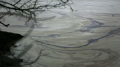 Douze ans après, l'affaire de la pollution du bec d'Ambès à nouveau devant la justice / 06.06.2019 | Pollution accidentelle des eaux (+ déchets plastiques) | Scoop.it