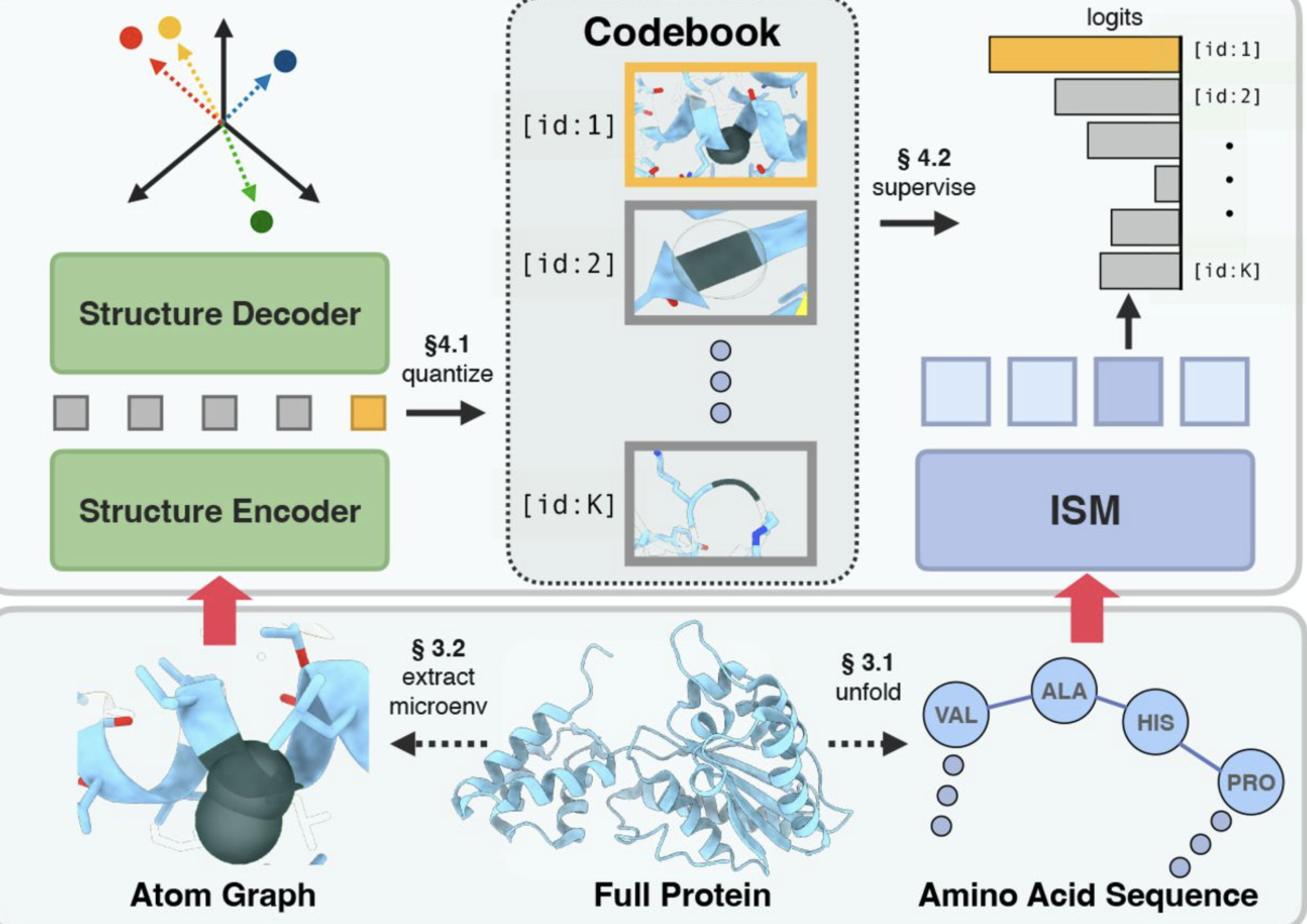 Distilling Structural Representations into Prot...