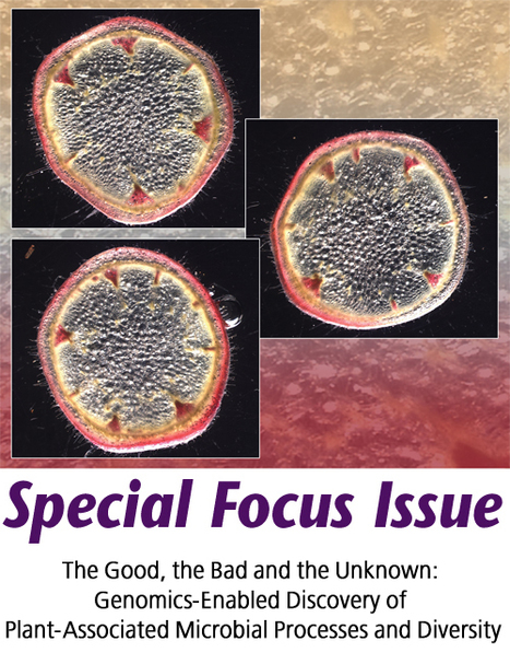 MPMI: Focus on The Good, the Bad and the Unknown: Genomics-Enabled Discovery of Plant-Associated Microbial Processes and Diversity (2015) | Plant Pathogenomics | Scoop.it