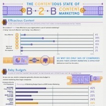 The Contentious State of B2B Content Marketing | Visual.ly | Content Curation and Marketing | Scoop.it