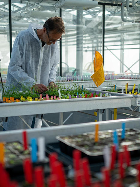 INRAE recrute plus de 250 ingénieur.es, cadres, technicien.nes et gestionnaires | Actu des entreprises (recrutement, implantation, création ...) | Scoop.it