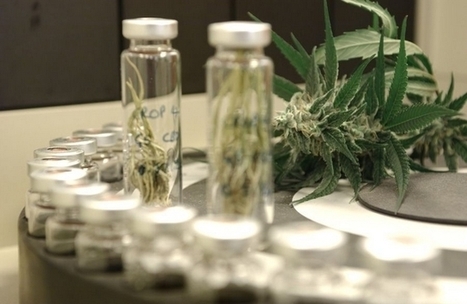 Narrow medical marijuana exemption bill passes House panel | Beckley News : Cannabis - Marijuana | Scoop.it