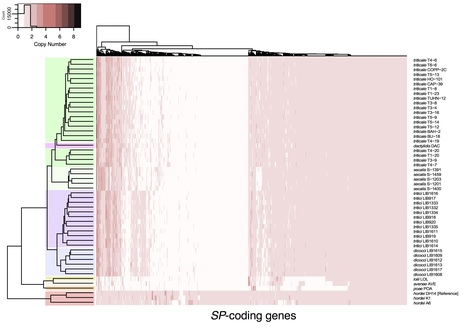 bioRxiv: Signatures of host specialization and a recent transposable element burst in the dynamic one-speed genome of the fungal barley powdery mildew pathogen (2018) | Plant Pathogenomics | Scoop.it