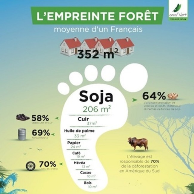 Le soja, ennemi caché numéro 1 de la forêt | POURQUOI PAS... EN FRANÇAIS ? | Scoop.it