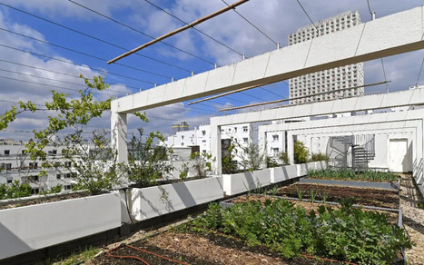 Un jardin suspendu au cœur du 20e : la ferme urbaine - Mairie du 20ᵉ | Paysage - Agriculture | Scoop.it