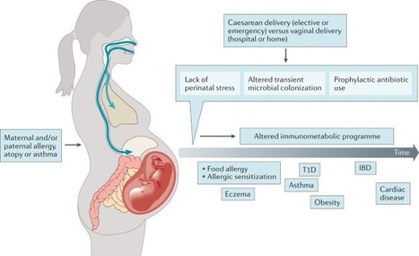 Early life microbial exposures and allergy risks: opportunities for prevention | Allergy (and clinical immunology) | Scoop.it