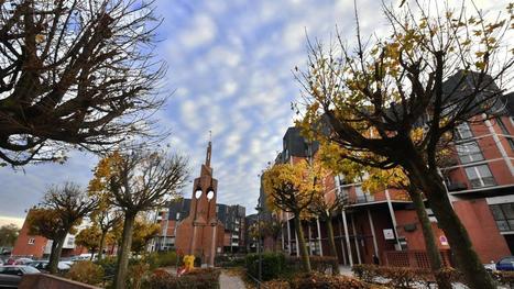 Villeneuve-d&rsquo;Ascq: apr&egrave;s des abattages qui ont fait pol&eacute;mique, quelle place pour l&rsquo;arbre en ville? | Nature en ville | Scoop.it