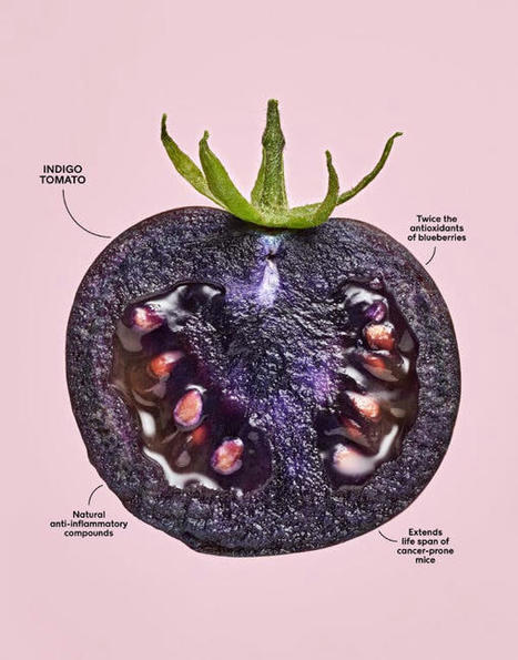 Learning to Love G.M.O.s - The New York Times | SEED-DREAM Lab info | Scoop.it