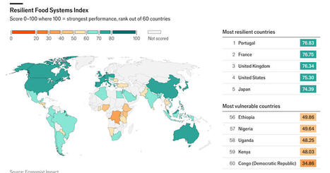 New Index Reveals Gaps in Global Food System Resilience and How to Close Them -&nbsp;Economist Impact | Biodiversit&eacute; | Scoop.it