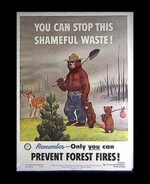 Smokey the Bear posters, 1950s - Found in Mom's Basement | Vintage Living Today For A Future Tomorrow | Scoop.it