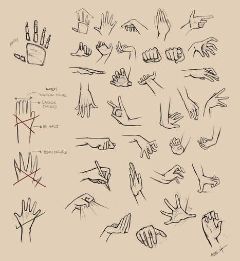 Hands Reference I by Ninjatic on deviantART | Drawing References and Resources | Scoop.it