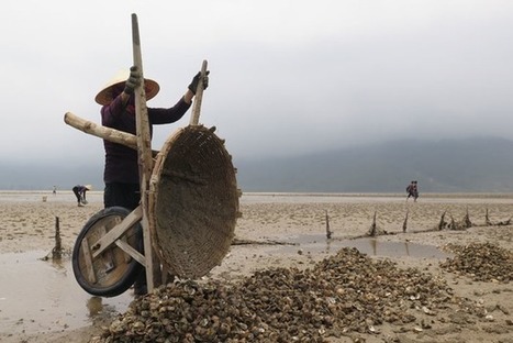 Vietnam's Environment Minister and Formosa Spill Victims Meet - Malaysia Sun du 09.12.2016 | Pollution accidentelle des eaux (+ d&eacute;chets plastiques) | Scoop.it