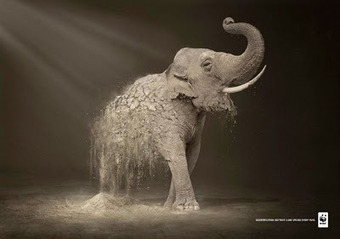 Stunning Print Advertising for the World Wildlife Fund by Contrapunto BBDO. | Future Of Advertising | Scoop.it