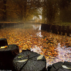 The colors of autumn  by Mirko  Rubaltelli | My Photo | Scoop.it