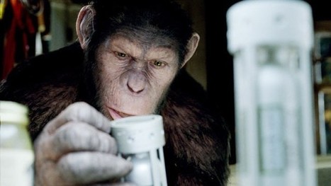 Oscar 2012: Sebastian Sylwan Talks Apes, Art and Technology | Transmedia: Storytelling for the Digital Age | Scoop.it