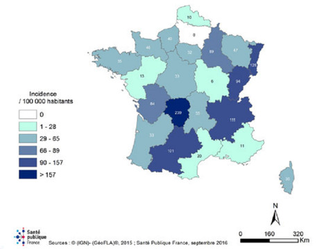 Maladie de Lyme : où sévissent les tiques en France ? | EntomoNews | Scoop.it