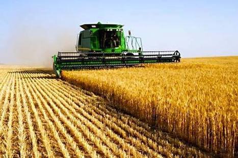 Tunisie : Outre le financement, le secteur de la c&eacute;r&eacute;aliculture a besoin d&rsquo;une mise &agrave; niveau | MED-Amin network | Scoop.it