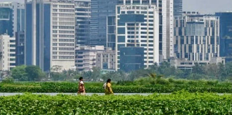 The 'kidneys of Kolkata': Indian wetlands under threat - RawStory.com | Agents of Behemoth | Scoop.it