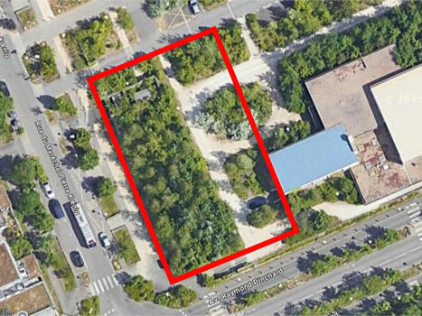 Nancy. Des dizaines d'arbres rasés pour construire une médiathèque : "Ils seront replantés", assure la Ville / Actu.fr | Veille locale des Bibliothèques-Médiathèques de Metz | Scoop.it