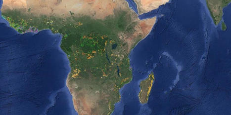 Forschungsprojekt: Wie werden entwaldete Landflächen in Afrika genutzt? | Sustainable Procurement News - Deutschland, Österreich, Schweiz | Scoop.it