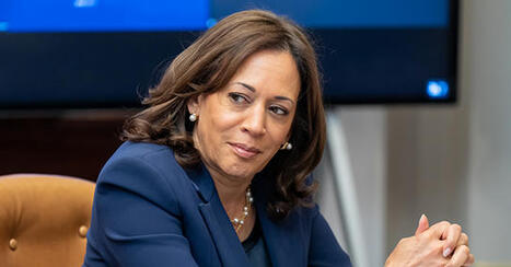 Nolte – Famed 'Plagiarism Hunter' Busts Kamala Harris: Book 'Copied Virtually an Entire Wikipedia Article,' 'Fabricated a Source Reference' | ED 262 Research, Reference & Resource Skills | Scoop.it
