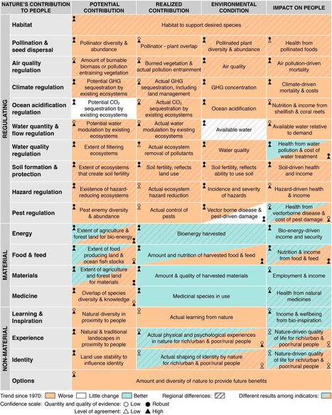 Contributions de la nature à la société : une baisse avérée | EntomoNews | Scoop.it