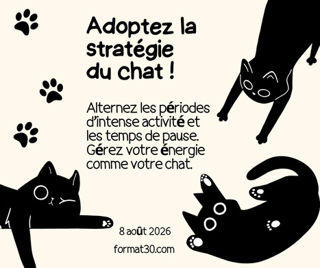 Adoptez la strat&eacute;gie du chat !&nbsp; | Going social | Scoop.it